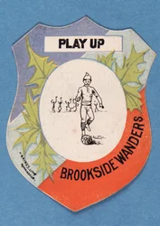 Play Up Brookside Wanderers