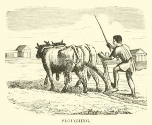 Ploughing
