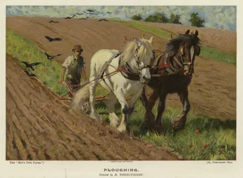 Ploughing