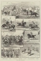 Polo in India