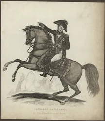 Portrait of Napoleon Bonaparte