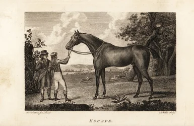 Portrait of the celebrated thoroughbred racer Escape with jockey and trainer