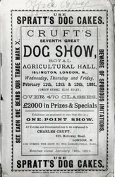 Poster Advertising Cruft