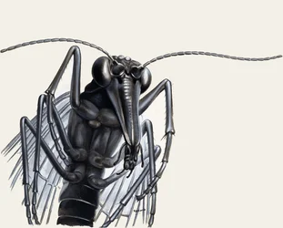 Predators of the Past