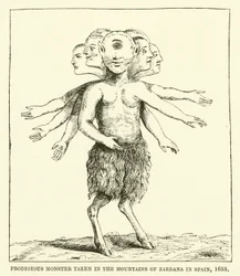 Prodigious Monster Taken in the Mountains of Zardana in Spain, 1655