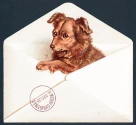 Puppy in Envelope