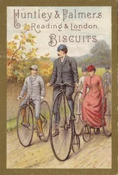 Riding Bicycles in Countryside