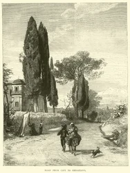 Road from Cavi to Genazzano