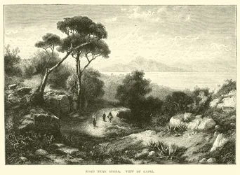 Road Near Massa, View of Capri