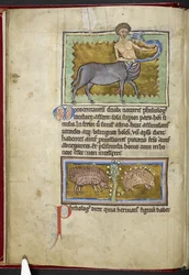 Centaur, from 