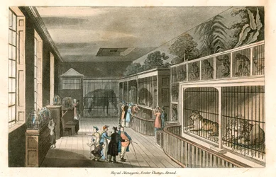 Royal Menagerie, Exeter Change, Strand