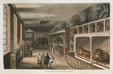 Royal menagerie, Exeter (Change Exchange), Strand. Select views of London: with historical and descriptive sketches of some of the most interesting of the public buildings compiled and arranged by J.B. Papworth
