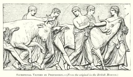Sacrificial Victims in Procession