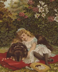 Safe Repose