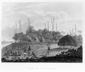 Sailors Collecting Provisions at Car Nicobar, from Voyages and Travels to India, Ceylon, The Red Sea