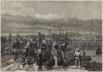 Sardine Fishery on the Coast of Brittany