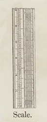 Scale