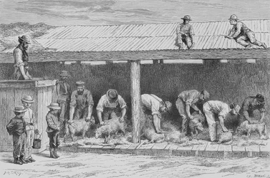 Sheep Shearing, c.1880, from 