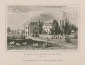 Sheep Grazing on Ground Before the Copenhagen House
