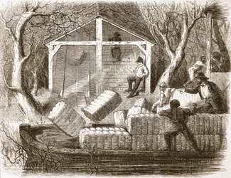 Shooting Cottin-bales into the fore part of the river-steamer Magnolia, illustration from The Illustrated London News, 1861