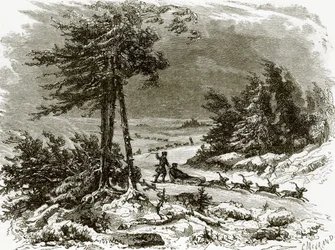 Sledge and Dogs on the Amoor
