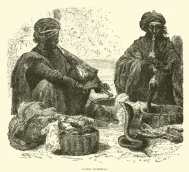 Snake Charmers