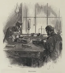 Splitting
