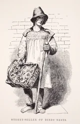 Street-seller of birds nests, illustration from London Labour and London Poor by Henry Mayhew, pub. 1862