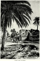 Street View in Biskra