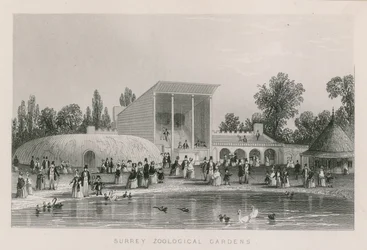 Surrey Zoological Gardens