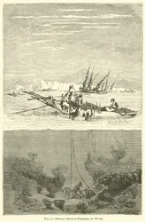 Syrian Sponge-Fishers at Work