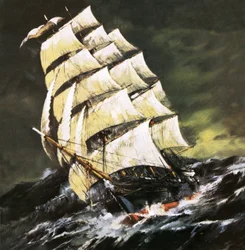 Tea Clipper