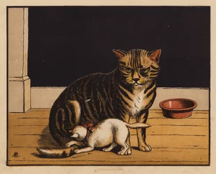 The Cat
