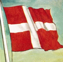 The Danish Flag