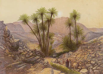 The Desert of Sinai