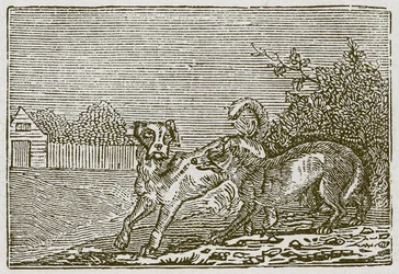 The Dog and the Wolf