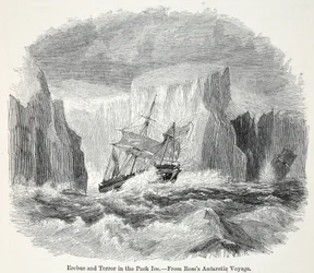 The Erebus and the Terror Among Icebergs