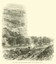 The Garden of Gethsemane, from the Slopes of Olivet