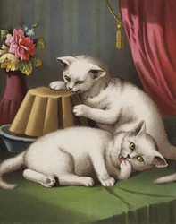 The Greedy Kitten