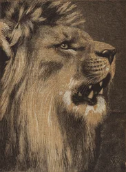 The King of the Forest