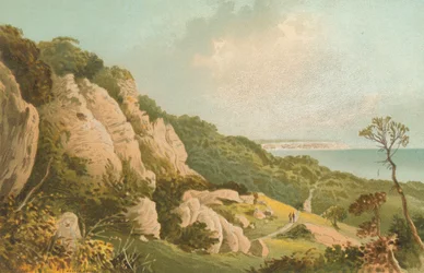 The Landslip near Ventnor--Isle of Wight
