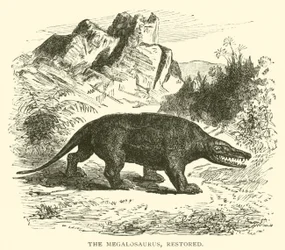 The Megalosaurus, Restored