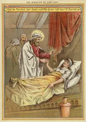 The Miracles of Christ: curing Peter