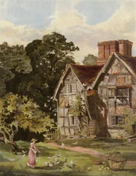 The Old Manor House