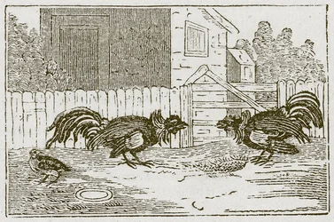 The Partridge and the Cocks