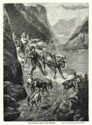 The Return from the Saeter
