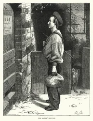 The Sailor