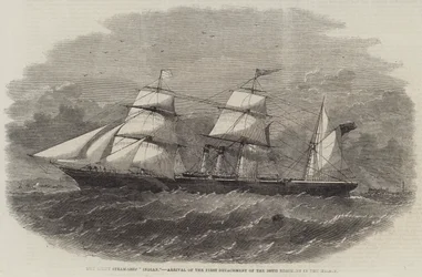 The Screw Steam-Ship 
