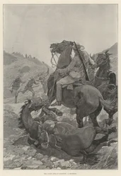 The South African Question, a Skirmish