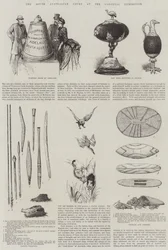 The South Australian Court at the Colonial Exhibition